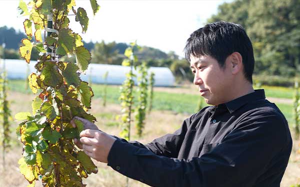 農業とワイナリー事業｜中島浩二さん